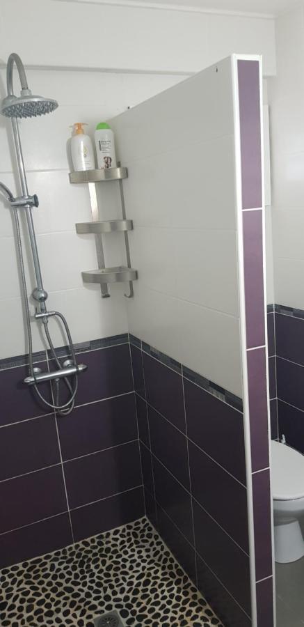 לה דיאמנט Studio Moderne Climatise Avec Jardin, Plage A Pied מראה חיצוני תמונה